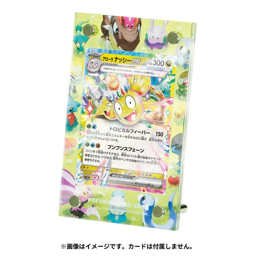 Pokémon Card Game Display Frame, Dragon Friends