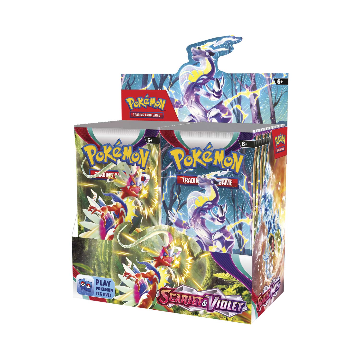 英語版 PTCG 拡張パック BOX – Exp. Share Collectible